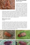 Moths of Great Britain and Ireland page 416
